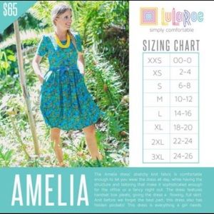 NWT Small LuLaRoe Amelia